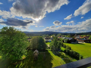 Appartement 13 im Haus Dreisessel Haidmühle